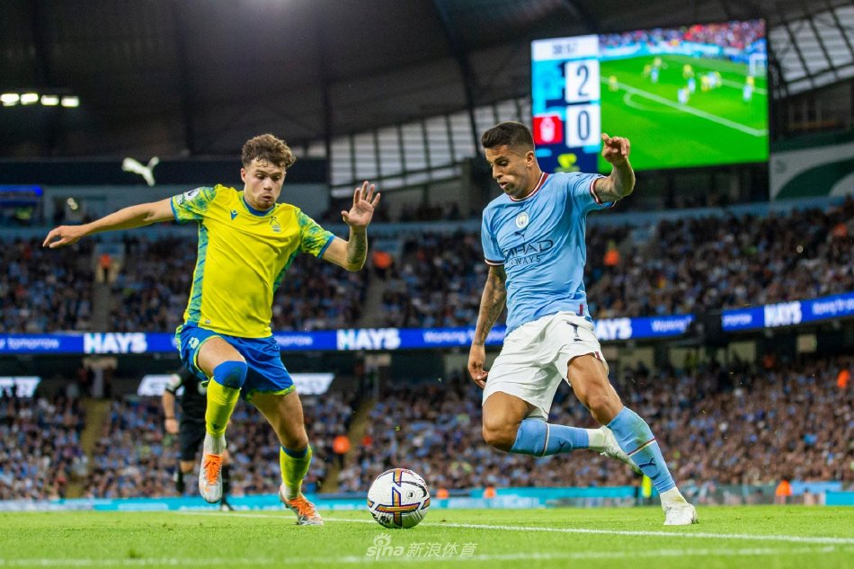 球员的专注 球员的专注